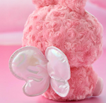 BT21 BABY SPRING FAIRY Sitting Doll