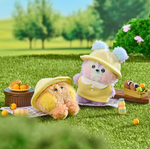 BT21 mini minini Picnic Mate doll